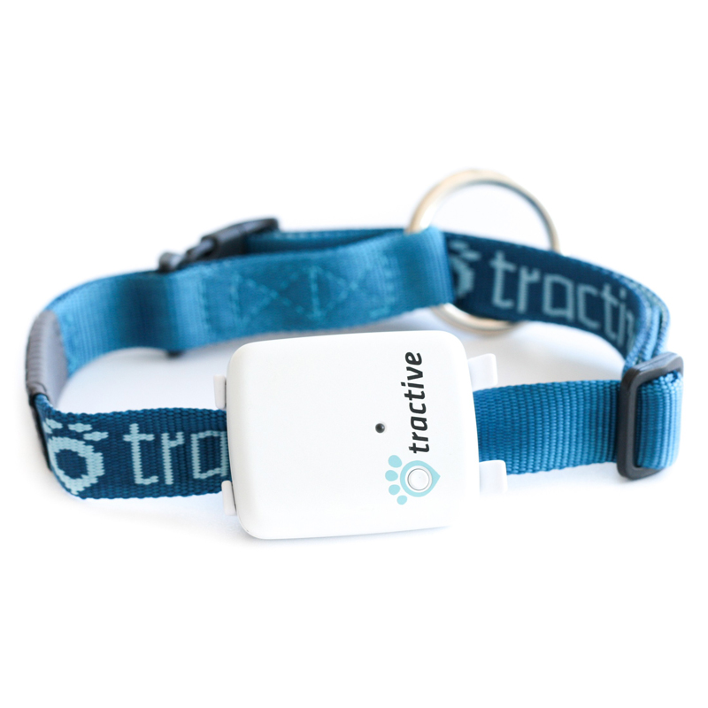 Tractive Halsband für Hunde - Schmal