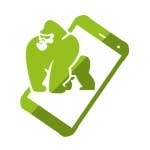 Cyrus CS45 XA Outdoor Smartphone