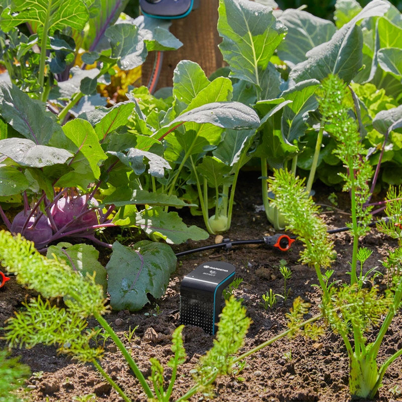 GARDENA 19202-20 smart Sensor Control Set