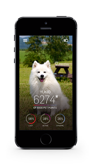 Tractive MOTION - Aktivitätstracking für Tiere