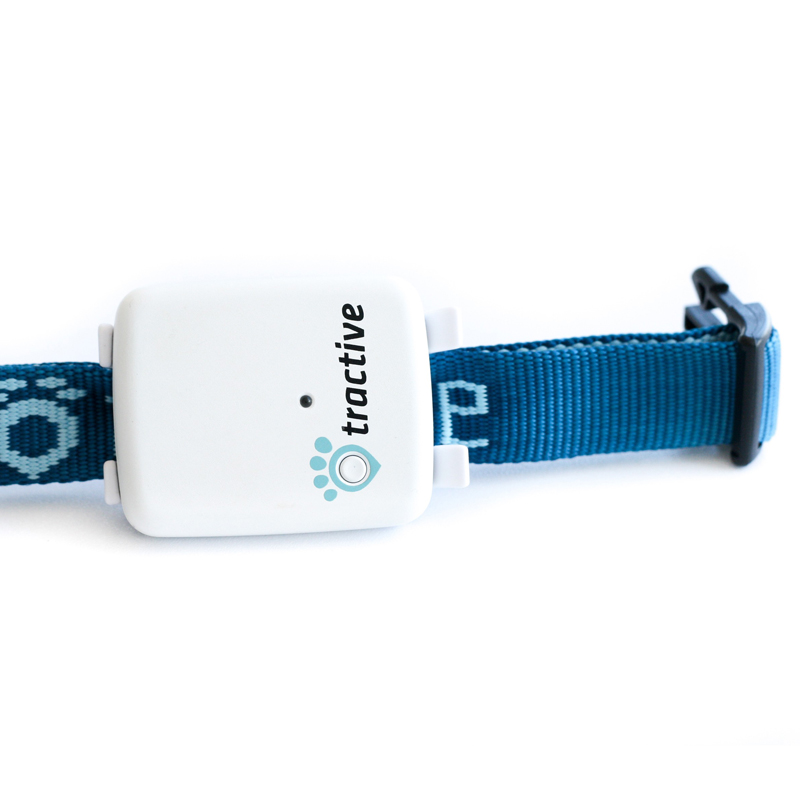 Tractive Halsband für Hunde - Schmal