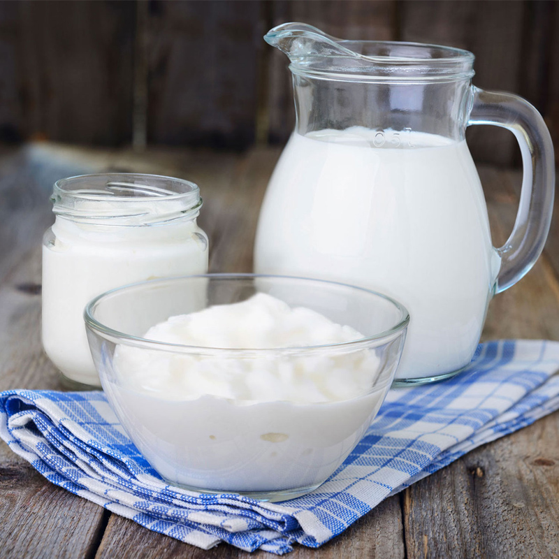 My.Yo Stromloser Joghurtbereiter Mint