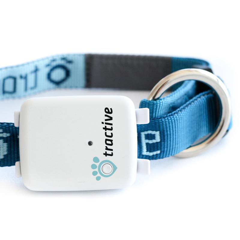 Tractive Halsband für Hunde - Schmal