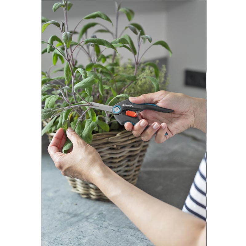 GARDENA 12212-36 FreshCut Set mit Kräuterschildern