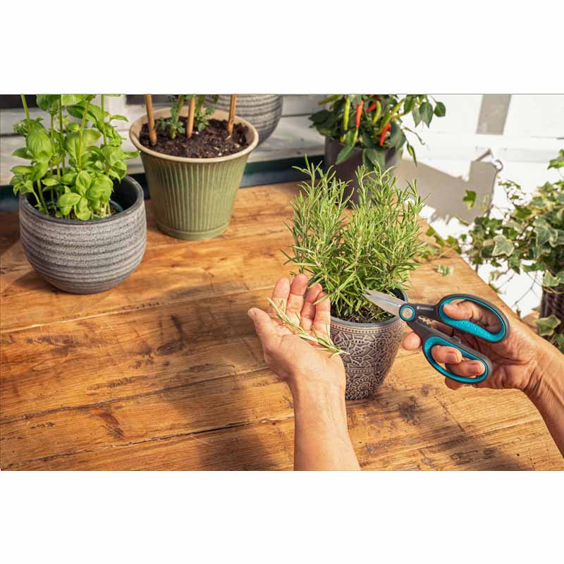 GARDENA 12214-36 HerbCut mit Holster