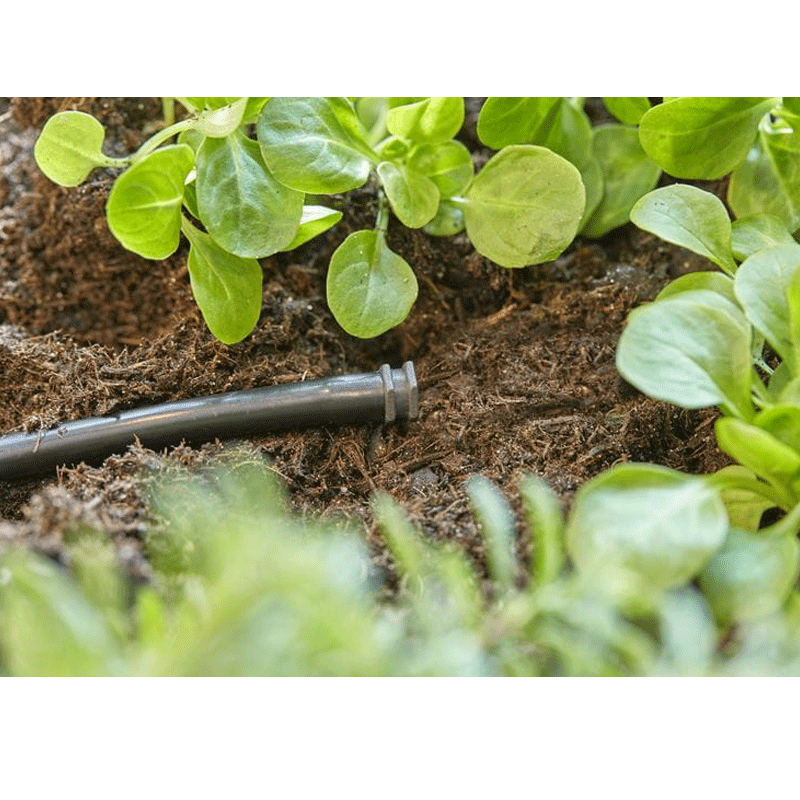 GARDENA 13215-20 Micro-Drip-System Verschlussstopfen 4,6 mm (3/16) - Inhalt: 10 Stück