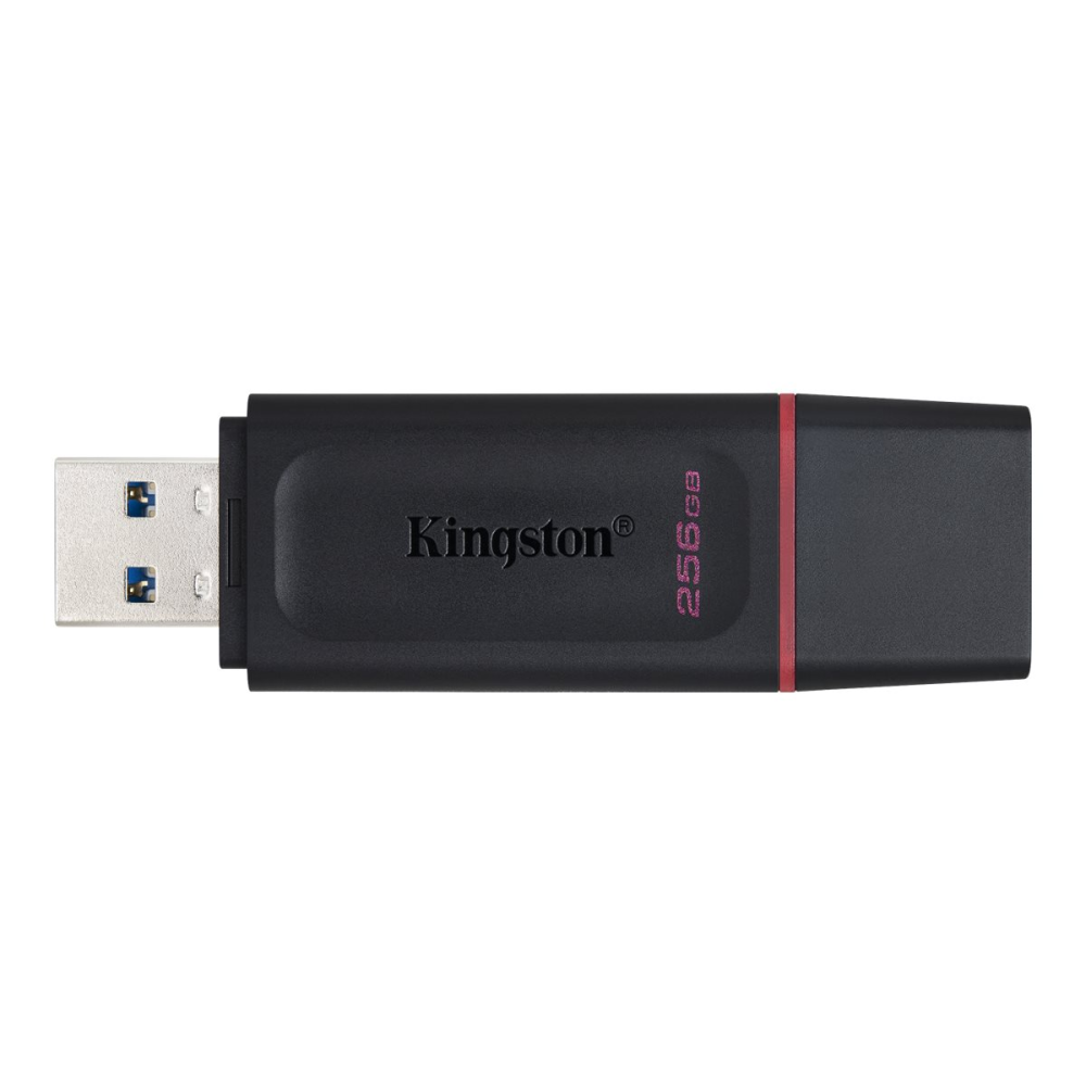 Kingston DataTraveler Exodia DTX/256GB USB-Stick 3.2 Gen 1