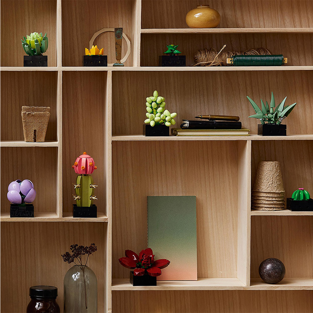 LEGO Botanical Collection - Sukkulenten (10309)