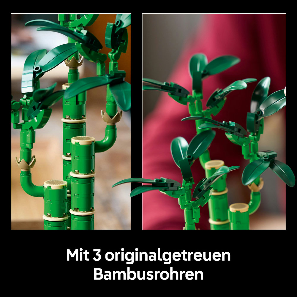 LEGO Botanical Collection - Glücks-Bambus (10344)
