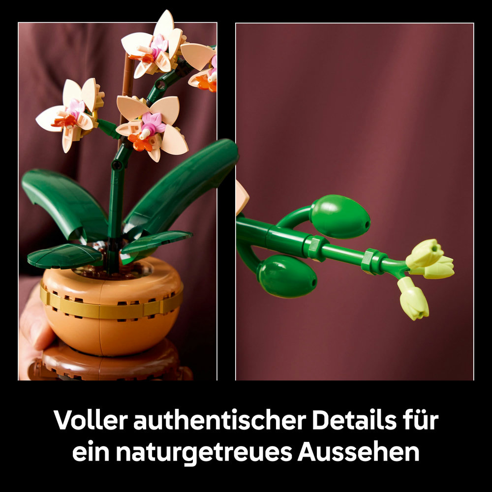 LEGO Botanical Collection - Mini-Orchidee (10343)
