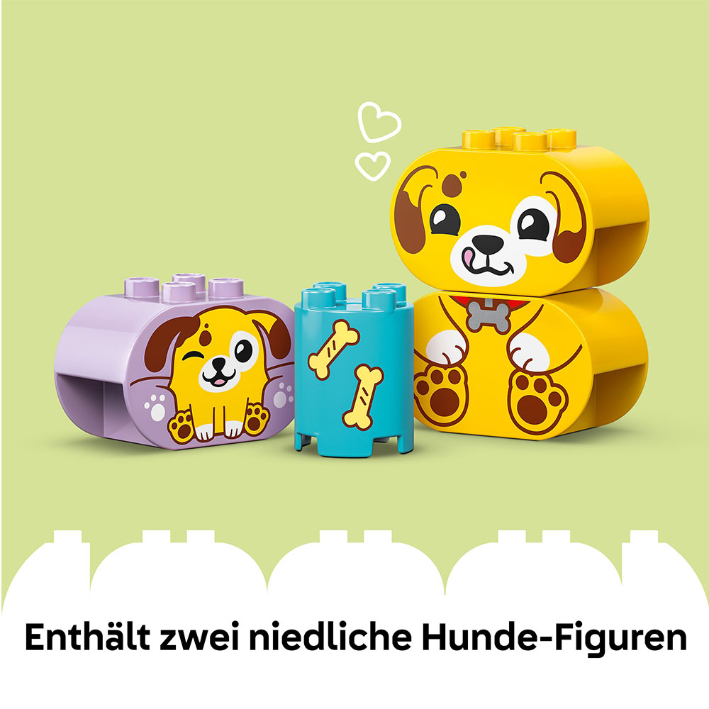 LEGO DUPLO - Formsortierer Welpenhaus (10441)