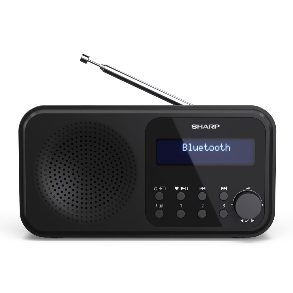 Sharp DR-P420 Portables Digitalradio schwarz