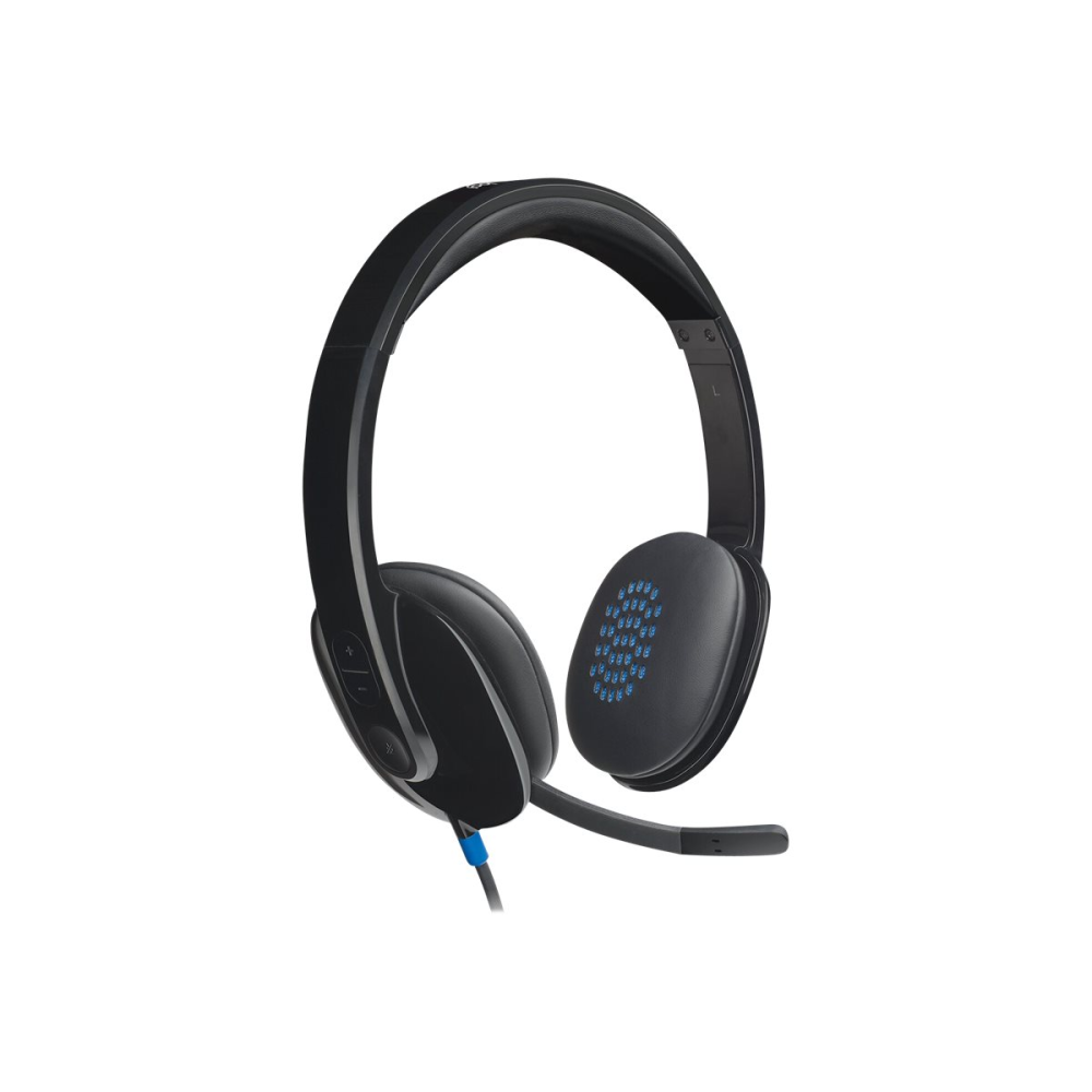 Logitech H540 USB Headset schwarz