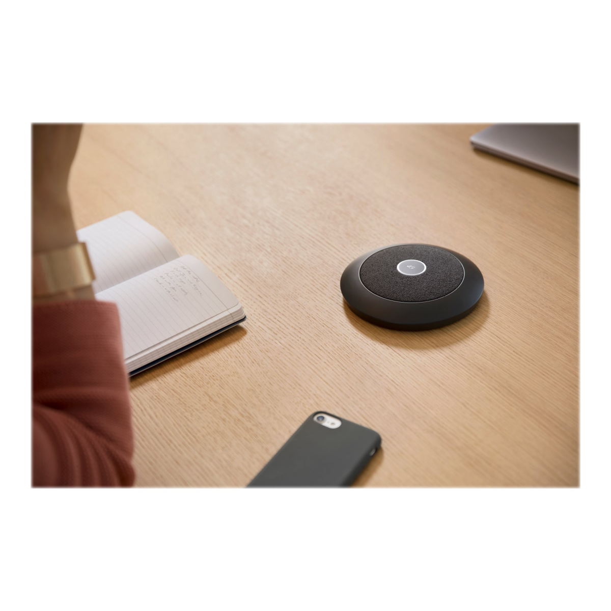 Logitech Rally Mic Mount schwarz