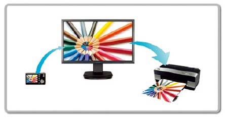 Viewsonic VG2233-LED 54,6 cm (22 Zoll) Business Full-HD Monitor